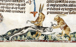 Rabbits capturing Hound